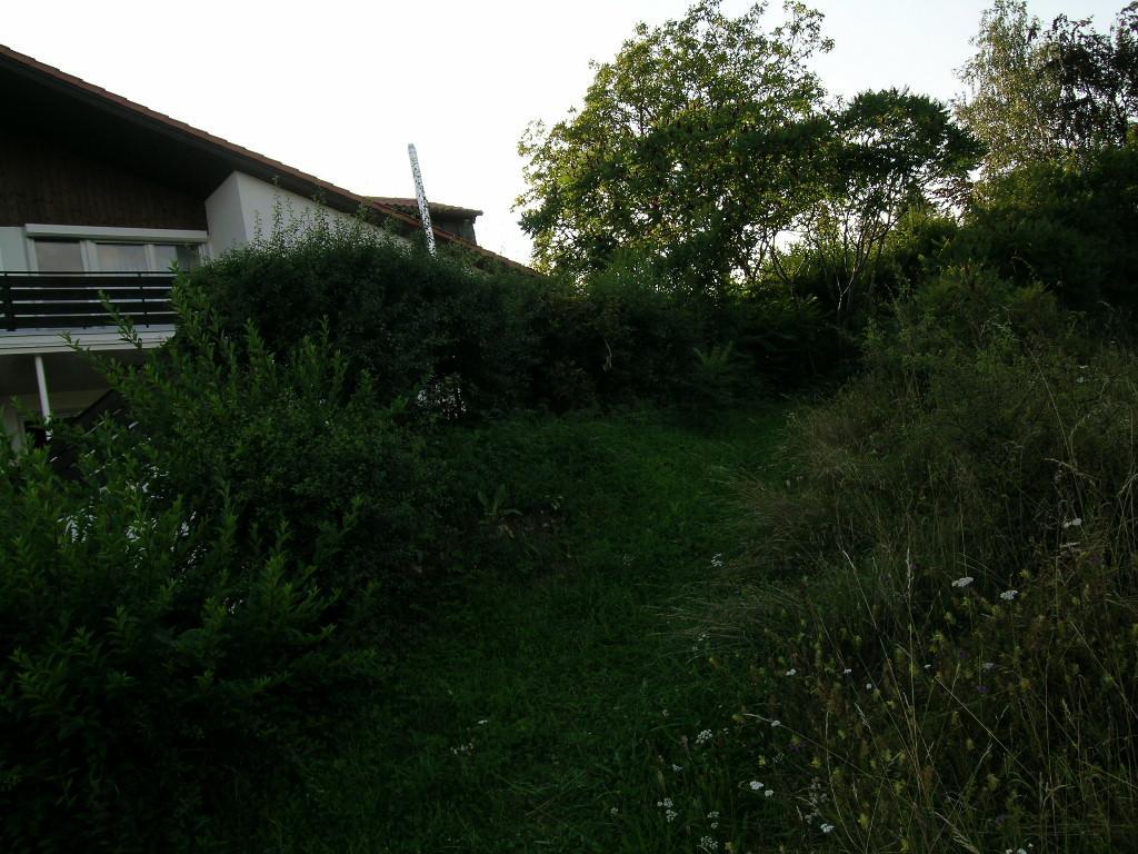 Noahs Arche Pension Pottenstein Exterior foto